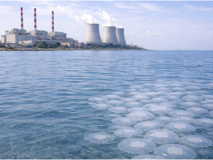 発電所への被害